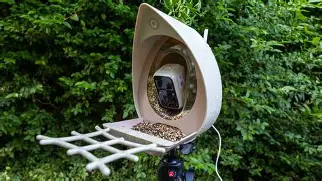 Why Everyone is Buying the Peckperk Smart Bird Feeder Camera (Full Review)